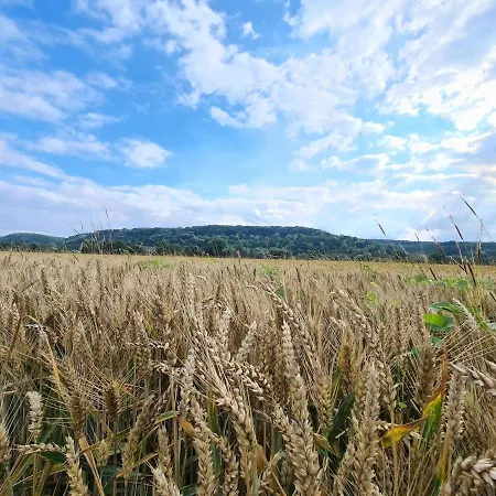 Maison Belvedere * Vernon (Eure)