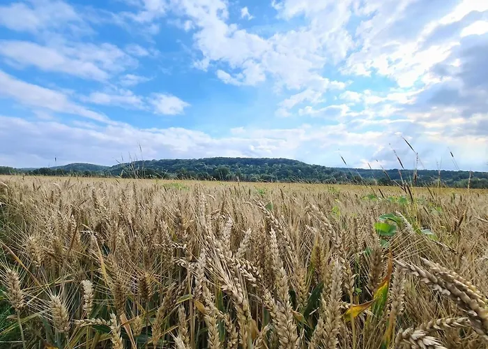 Maison Belvedere * Vernon (Eure)